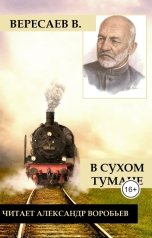 обложка книги Воробьев Александр "В сухом тумане"