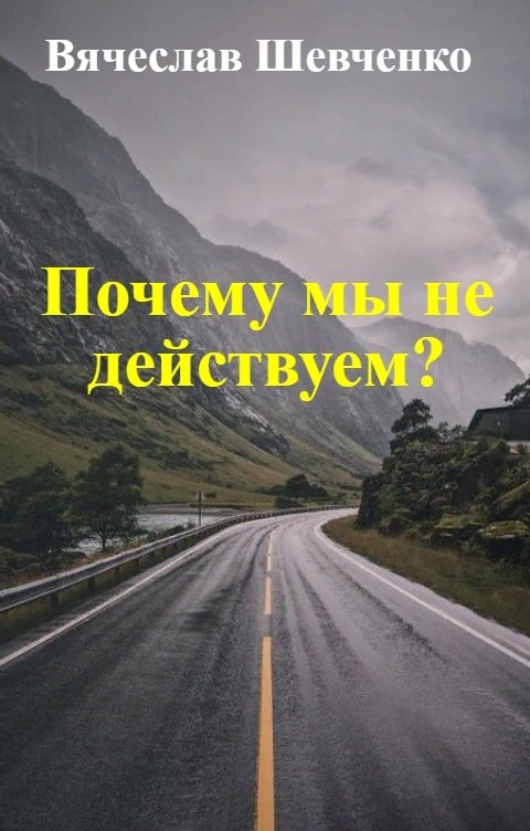 Обложка книги Вячеслав Шевченко Почему мы не действуем?