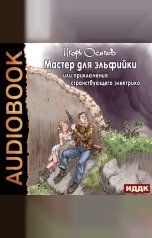 обложка книги Осипов Игорь "Мастер для эльфийки, или приключения странствующего электрика"