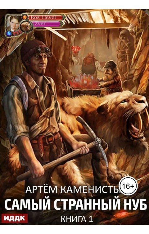 Обложка книги ИДДК Самый странный нуб. Книга 1