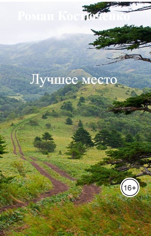 Обложка книги Роман Костюченко Лучшее место