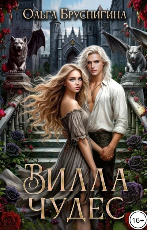 Обложка книги Ольга Бруснигина Вилла Чудес