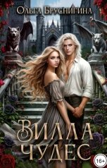 обложка книги Ольга Бруснигина "Вилла Чудес"