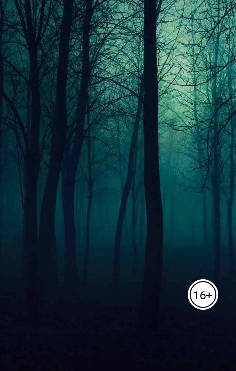 Обложка книги Никита Барадаков Девять, три, шесть, три