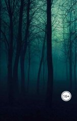 обложка книги Никита Барадаков "Девять, три, шесть, три"