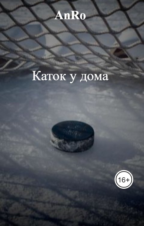 Каток у дома