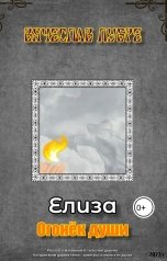 обложка книги Вячеслав Лубре "Елиза. Огонёк души"