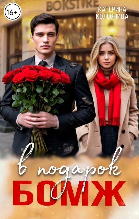 Обложка книги Катерина Колесница Бомж в подарок