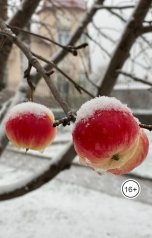 обложка книги Наталья Гончарова "Путеводная звезда"