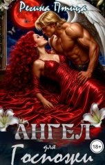 обложка книги Регина Птица Моно "Ангел для Госпожи. Эпизод 1. Первая боль"