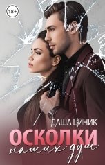 обложка книги Даша Циник "Осколки наших душ"