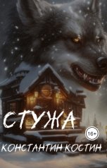 обложка книги Константин Костин "Стужа"