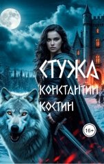обложка книги Константин Костин "Стужа"