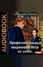 обложка книги Александра Лисина "Профессиональный некромант. Книга 2. Мэтр на учебе "