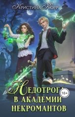 обложка книги Кристина Корр "Недотрога в академии некромантов"