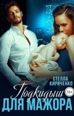 обложка книги Стелла Кириченко "Подкидыш для мажора"