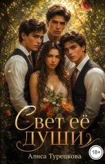 обложка книги Алиса Турецкова "Свет её души"