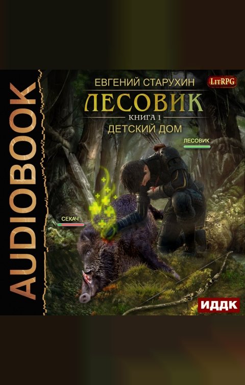 Обложка книги ИДДК Лесовик. Книга 1. Детский дом