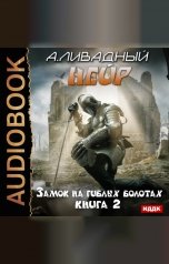 обложка книги Ливадный Андрей "Нейр. Книга 2. Замок на Гиблых Болотах"