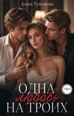 обложка книги Алиса Турецкова "Одна любовь на троих"