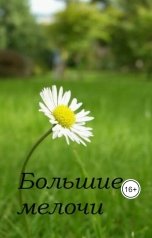 обложка книги Awelina S. "Большие мелочи"