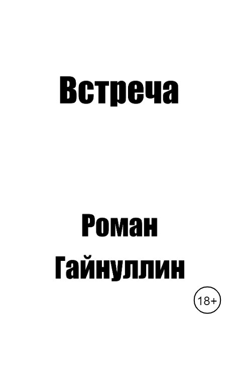 Обложка книги Роман Гайнуллин Встреча