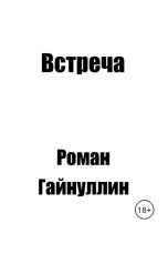 обложка книги Роман Гайнуллин "Встреча"