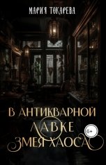 обложка книги Мария Токарева "В антикварной лавке Змея Хаоса"