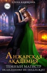 обложка книги Елена Княжина "Анжарская академия. Темный магистр исцелению не подлежит"