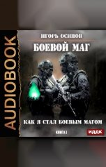 обложка книги Игорь Осипов "Боевой маг. Книга 1. Как я стал боевым магом"