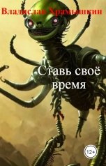 обложка книги Владислав Храмышкин "Ставь своё время"