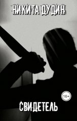 обложка книги Никита Дудин "Свидетель"