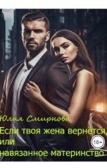 обложка книги Юлия Смирнова "Если твоя жена вернётся"