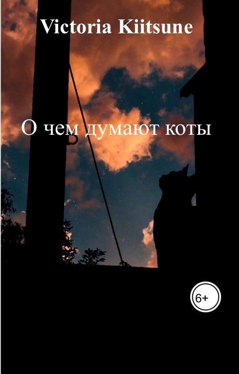 О чем думают коты