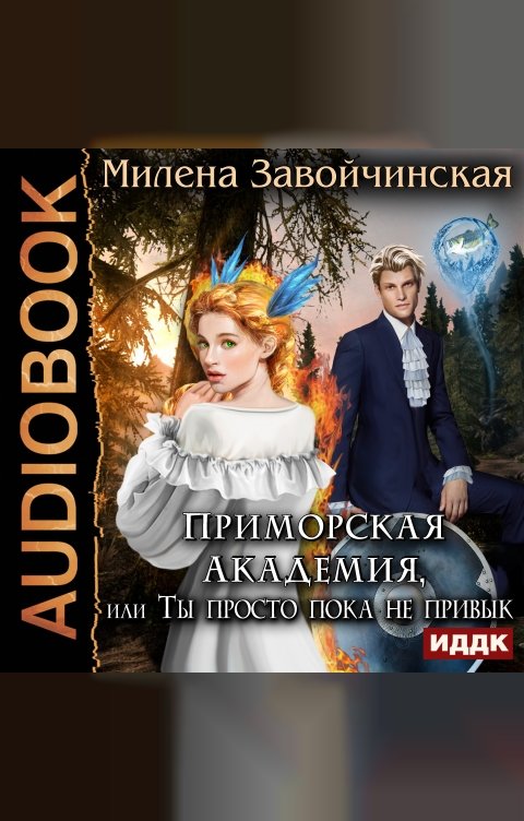 Обложка книги ИДДК Приморская академия, или Ты просто пока не привык