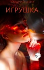 обложка книги Валерий Шенк "Игрушка"