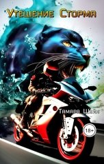 обложка книги Тамара Шейн "Утешение Сторма"