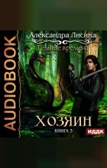 обложка книги Александра Лисина "Темные времена. Книга 3. Хозяин"