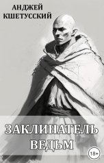 обложка книги Анджей Кшетусский "Заклинатель ведьм"
