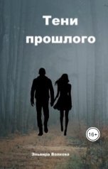 обложка книги Эльвира Волкова "Тени прошлого"