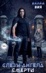 обложка книги Валка Вия "Слёзы ангела смерти"