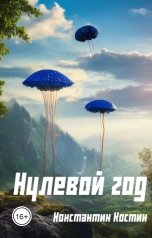 обложка книги Константин Костин "Нулевой год"