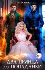 обложка книги Майя Хоук "Два принца для попаданки"