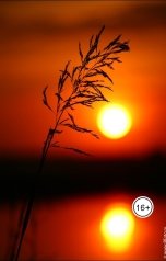 обложка книги aw5 "Смысл жизни"