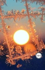 обложка книги aw5 "Арестованная шуба"