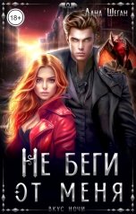 обложка книги Лана Шеган "Не беги от меня"