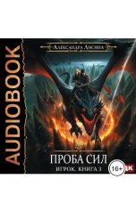 обложка книги  "Игрок. Книга 3. Проба сил"