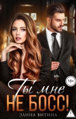 обложка книги Элина Витина "Ты мне не босс!"