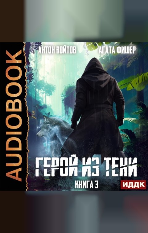 Обложка книги ИДДК Герой из тени. Книга 3