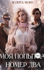 обложка книги Лолита Моро "Попытка намбо ту"